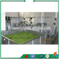 fruit and vegetable dryer machine for sale